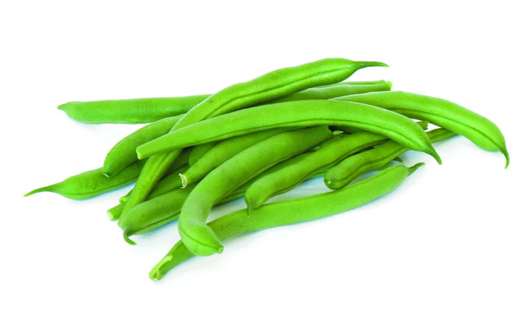Haricots verts - Agro trade for import & export [Mahdy Fresh - depuis 2000]